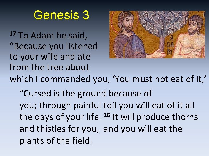 Genesis 3 To Adam he said, “Because you listened to your wife and ate