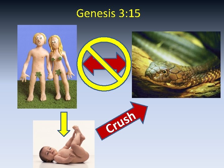 Genesis 3: 15 C h s ru 