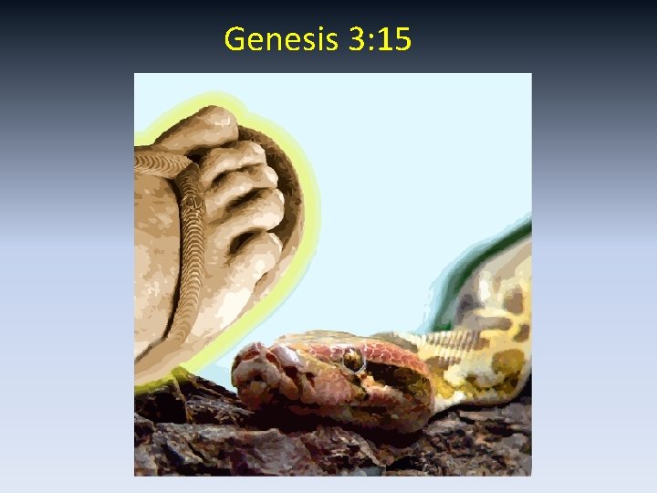 Genesis 3: 15 
