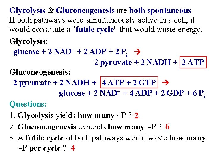 Glycolysis & Gluconeogenesis are both spontaneous. If both pathways were simultaneously active in a