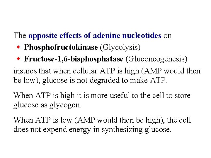 The opposite effects of adenine nucleotides on w Phosphofructokinase (Glycolysis) w Fructose-1, 6 -bisphosphatase
