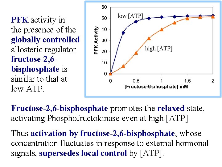 PFK activity in the presence of the globally controlled allosteric regulator fructose-2, 6 bisphosphate