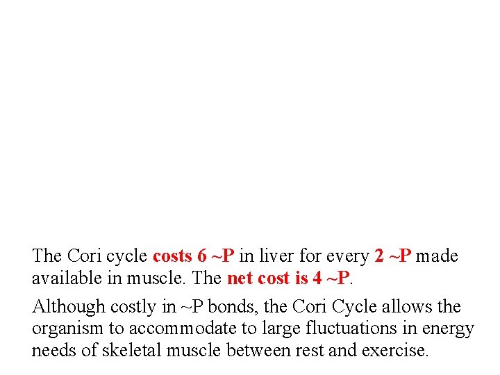 The Cori cycle costs 6 ~P in liver for every 2 ~P made available