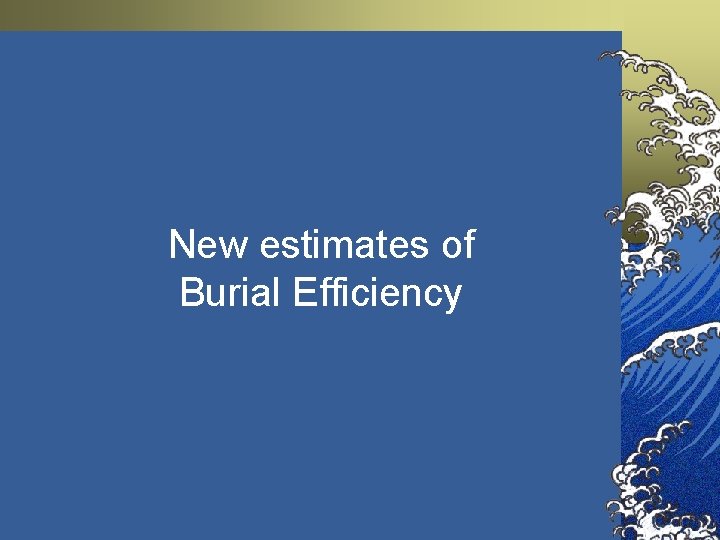 New estimates of Burial Efficiency New estimates of Burial Efficiency