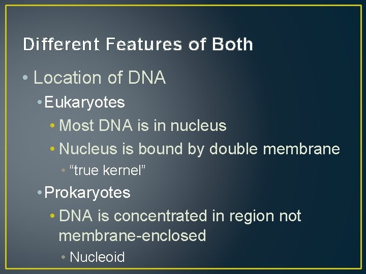 Different Features of Both • Location of DNA • Eukaryotes • Most DNA is