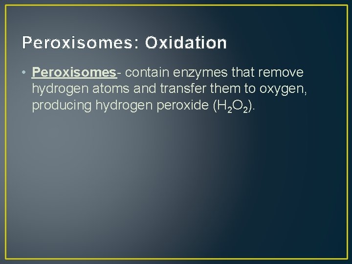 Peroxisomes: Oxidation • Peroxisomes- contain enzymes that remove hydrogen atoms and transfer them to