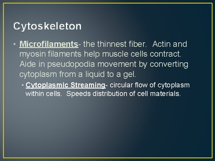 Cytoskeleton • Microfilaments- the thinnest fiber. Actin and myosin filaments help muscle cells contract.