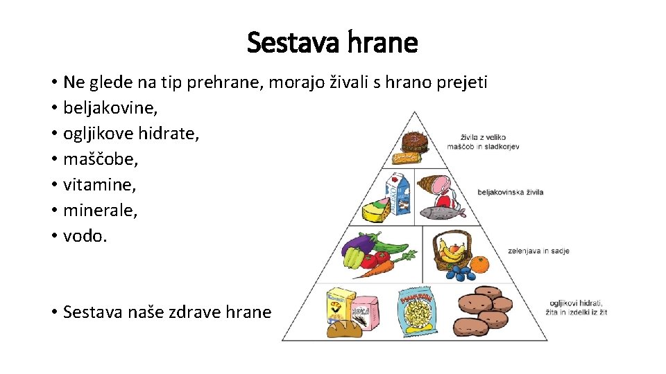 Sestava hrane • Ne glede na tip prehrane, morajo živali s hrano prejeti •