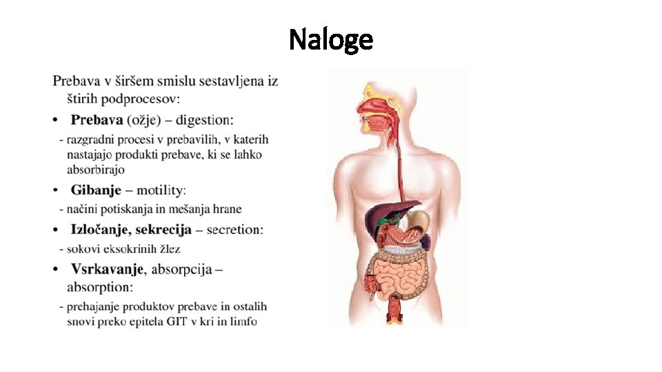 Naloge 