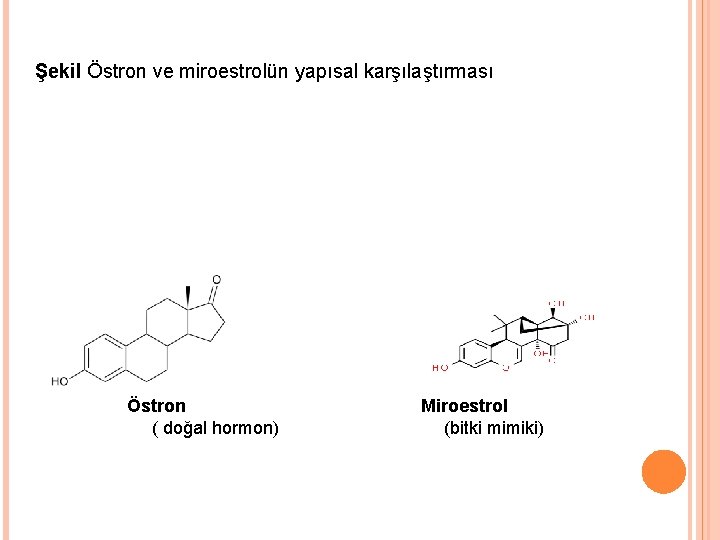Şekil Östron ve miroestrolün yapısal karşılaştırması Östron ( doğal hormon) Miroestrol (bitki mimiki) 