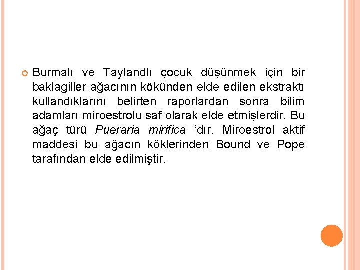  Burmalı ve Taylandlı çocuk düşünmek için bir baklagiller ağacının kökünden elde edilen ekstraktı