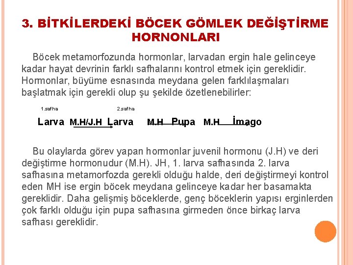 3. BİTKİLERDEKİ BÖCEK GÖMLEK DEĞİŞTİRME HORNONLARI Böcek metamorfozunda hormonlar, larvadan ergin hale gelinceye kadar