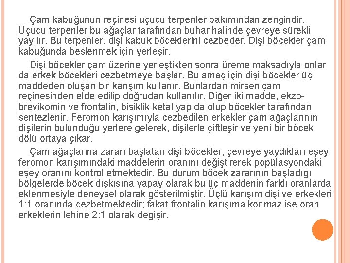 Çam kabuğunun reçinesi uçucu terpenler bakımından zengindir. Uçucu terpenler bu ağaçlar tarafından buhar halinde