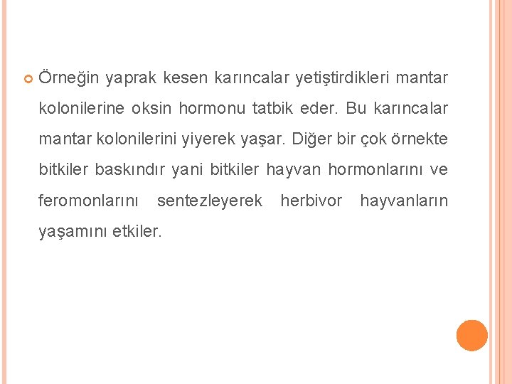  Örneğin yaprak kesen karıncalar yetiştirdikleri mantar kolonilerine oksin hormonu tatbik eder. Bu karıncalar