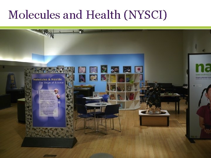 Molecules and Health (NYSCI) 