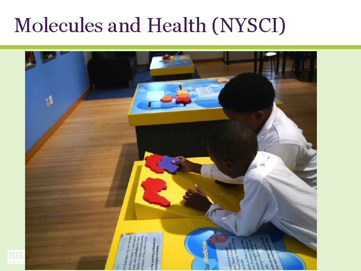 Molecules and Health (NYSCI) 