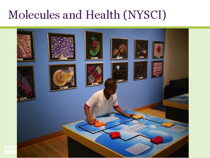 Molecules and Health (NYSCI) 