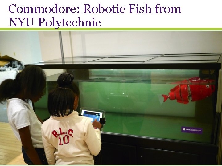 Commodore: Robotic Fish from NYU Polytechnic 