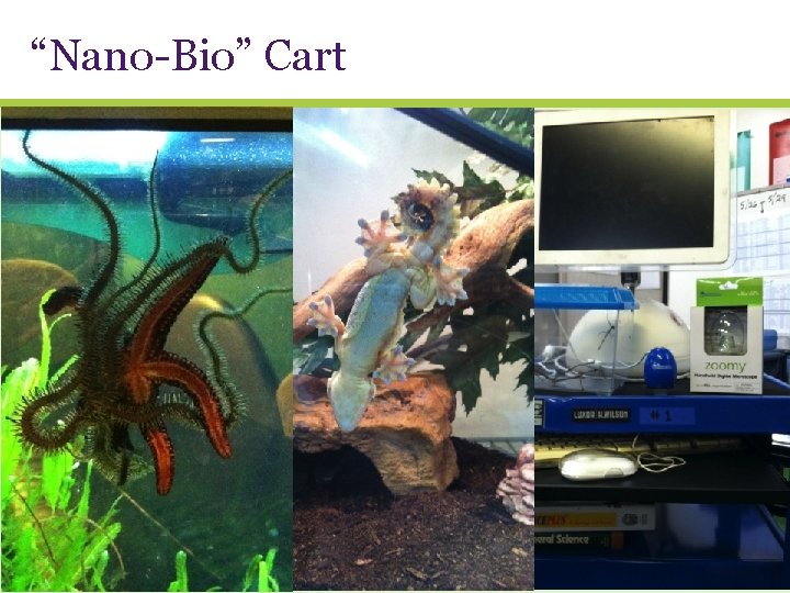 “Nano-Bio” Cart 