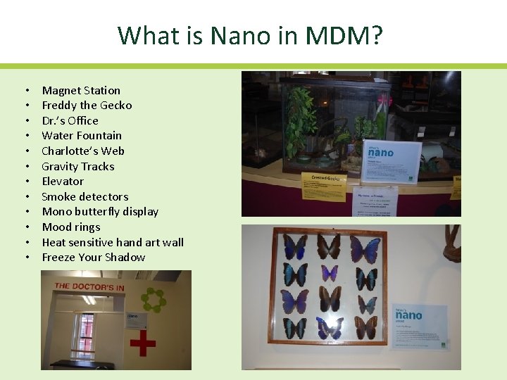 What is Nano in MDM? • • • Magnet Station Freddy the Gecko Dr.