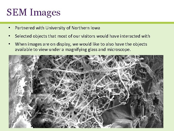 SEM Images • Partnered with University of Northern Iowa • Selected objects that most