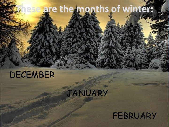 These are the months of winter: DECEMBER JANUARY FEBRUARY 