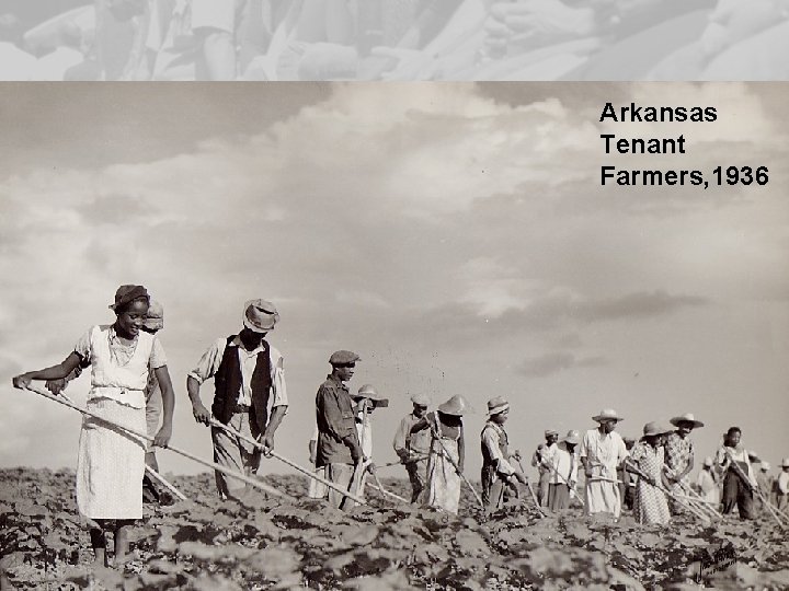 Arkansas Tenant Farmers, 1936 