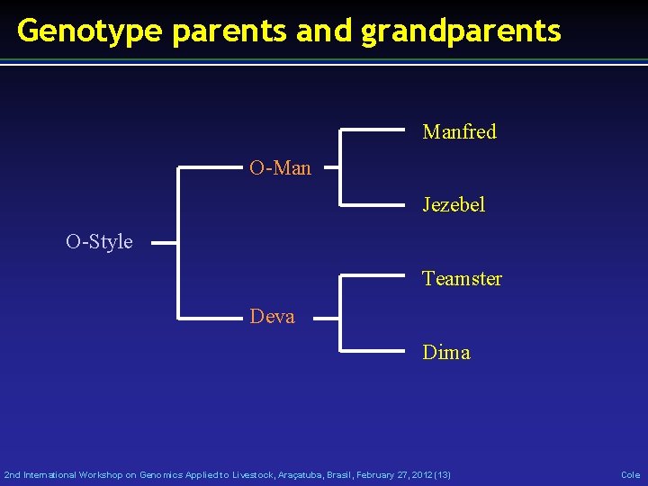 Genotype parents and grandparents Manfred O-Man Jezebel O-Style Teamster Deva Dima 2 nd International