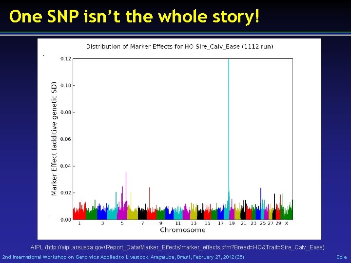 One SNP isn’t the whole story! AIPL (http: //aipl. arsusda. gov/Report_Data/Marker_Effects/marker_effects. cfm? Breed=HO&Trait=Sire_Calv_Ease) 2