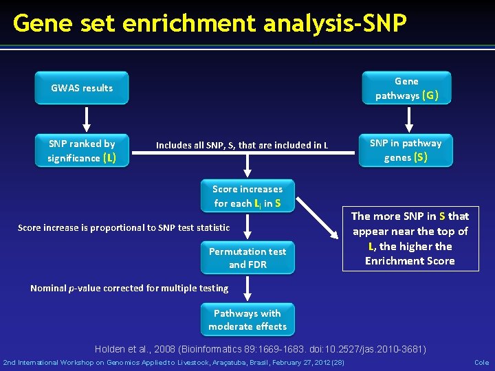 Gene set enrichment analysis-SNP Gene pathways (G) GWAS results SNP ranked by significance (L)