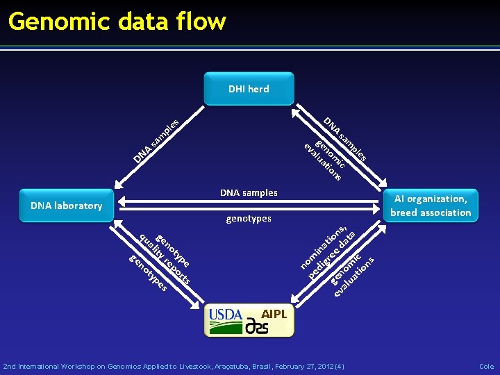 Genomic data flow DHI herd DN A sa m pl es es pl m