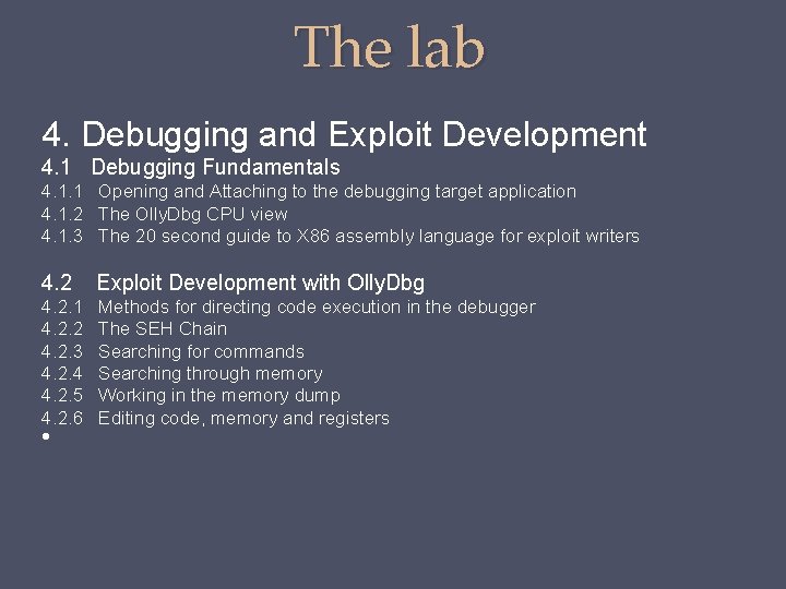 The lab 4. Debugging and Exploit Development 4. 1 Debugging Fundamentals 4. 1. 1