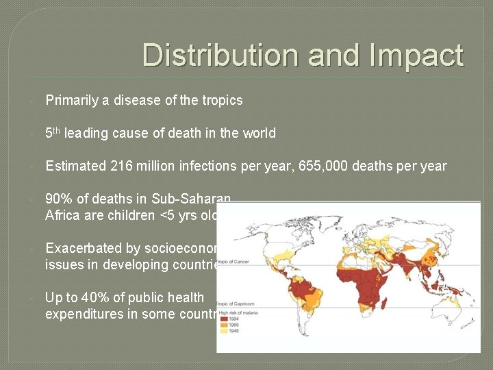 Distribution and Impact § Primarily a disease of the tropics § 5 th leading