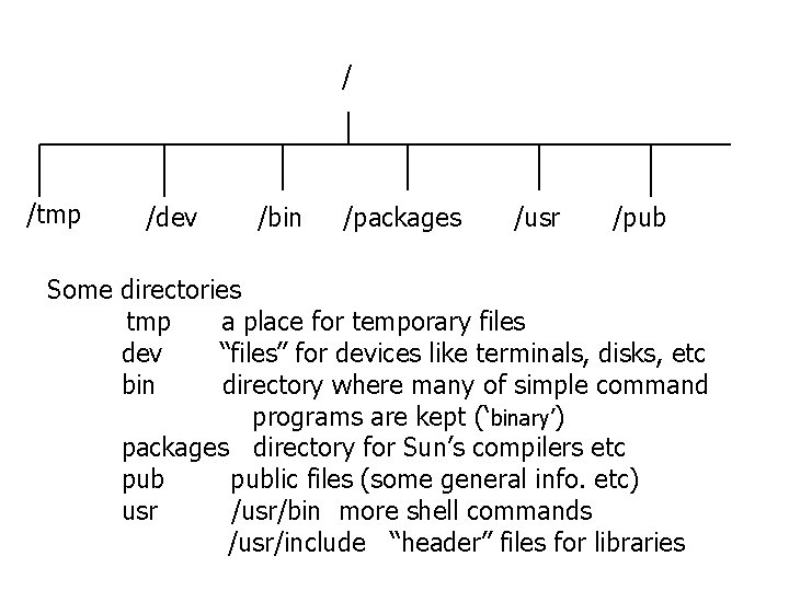 / /tmp /dev /bin /packages /usr /pub Some directories tmp a place for temporary