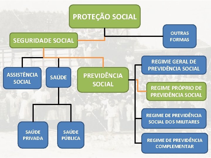 PROTEÇÃO SOCIAL OUTRAS FORMAS SEGURIDADE SOCIAL ASSISTÊNCIA SOCIAL SAÚDE PREVIDÊNCIA SOCIAL REGIME GERAL DE