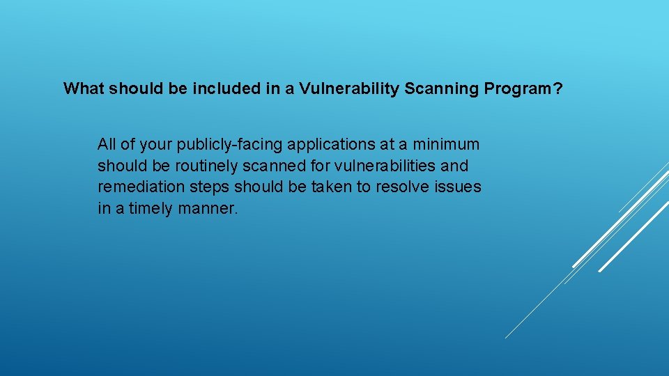 What should be included in a Vulnerability Scanning Program? All of your publicly-facing applications