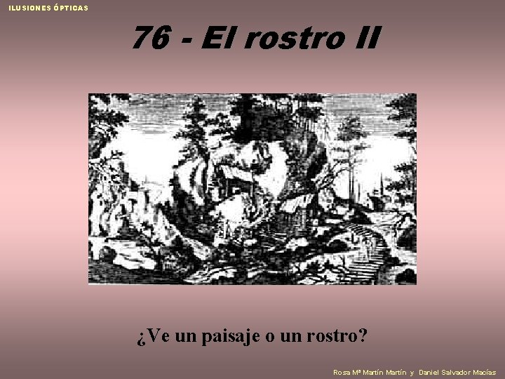 ILUSIONES ÓPTICAS 76 - El rostro II ¿Ve un paisaje o un rostro? Rosa