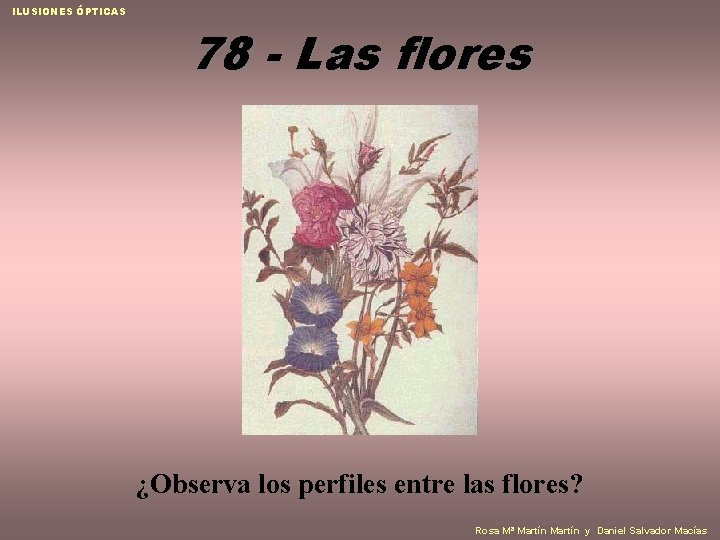 ILUSIONES ÓPTICAS 78 - Las flores ¿Observa los perfiles entre las flores? Rosa Mª