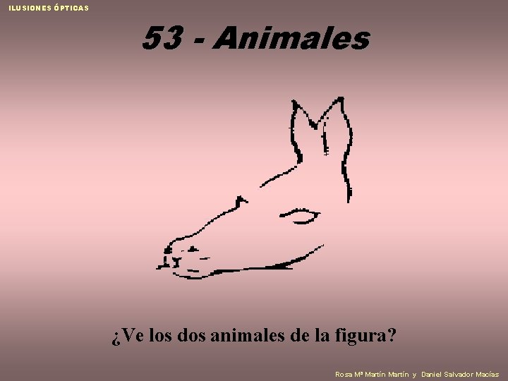 ILUSIONES ÓPTICAS 53 - Animales ¿Ve los dos animales de la figura? Rosa Mª