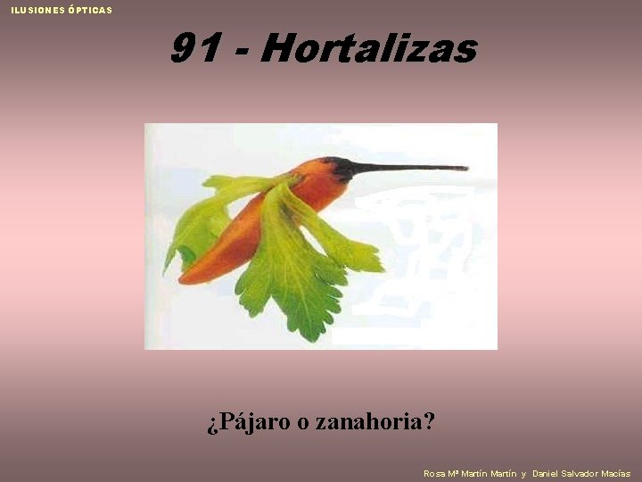 ILUSIONES ÓPTICAS 91 - Hortalizas ¿Pájaro o zanahoria? Rosa Mª Martín y Daniel Salvador