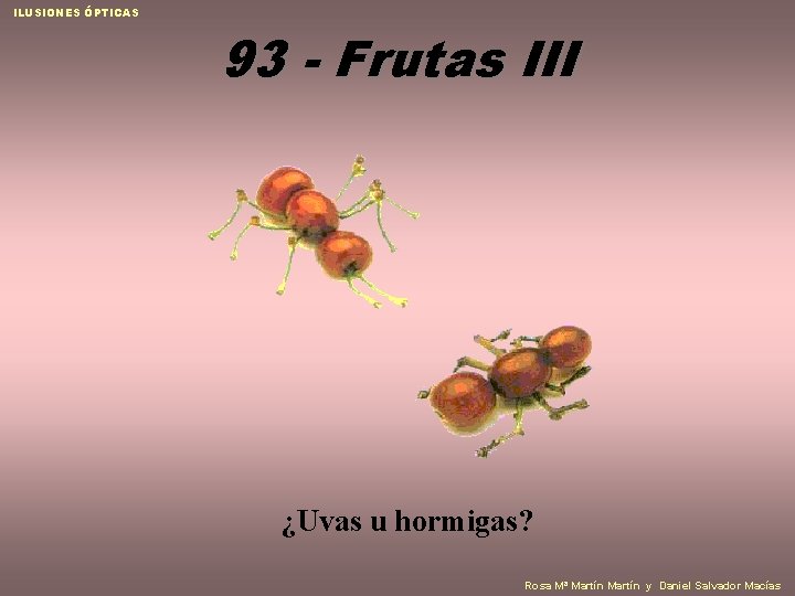 ILUSIONES ÓPTICAS 93 - Frutas III ¿Uvas u hormigas? Rosa Mª Martín y Daniel