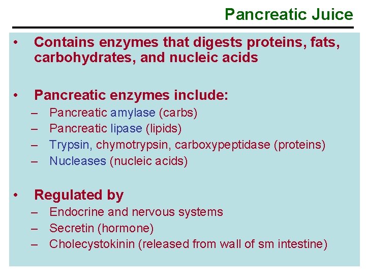 Pancreatic Juice • Contains enzymes that digests proteins, fats, carbohydrates, and nucleic acids •