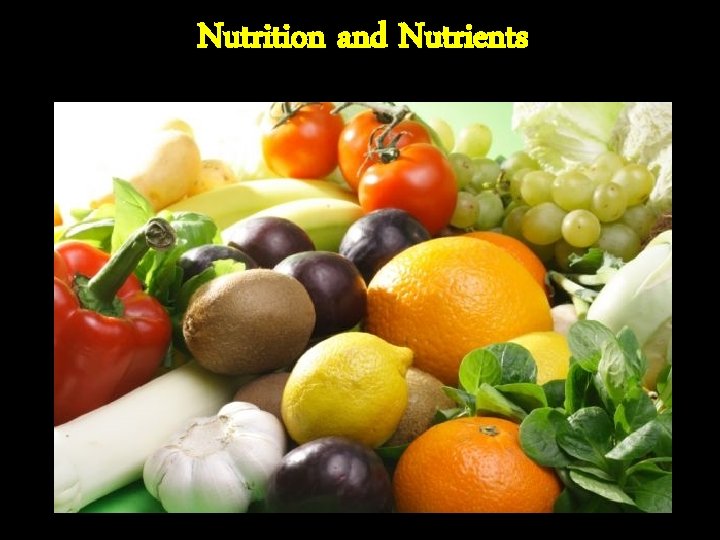 Nutrition and Nutrients 