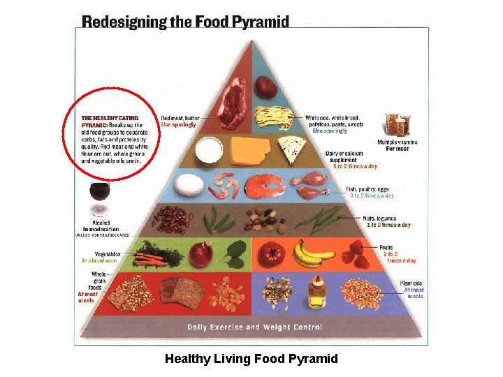 Healthy Living Food Pyramid 