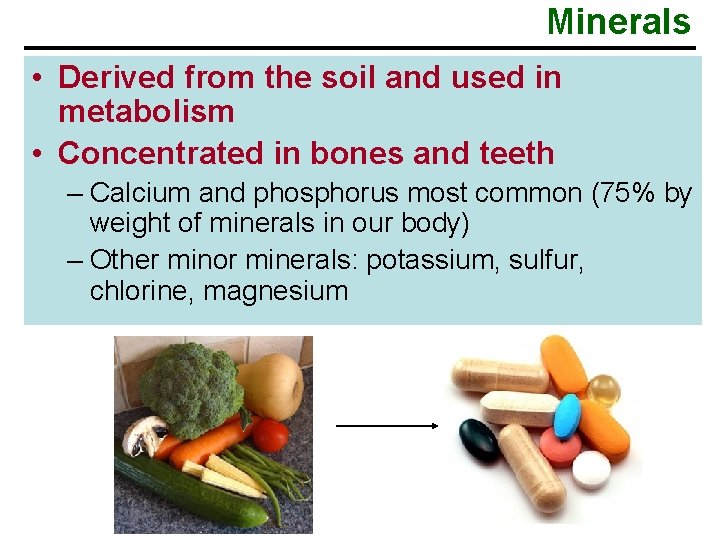 Minerals • Derived from the soil and used in metabolism • Concentrated in bones