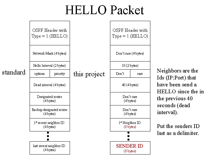 HELLO Packet standard OSPF Header with Type = 1 (HELLO) Network Mask (4 bytes)