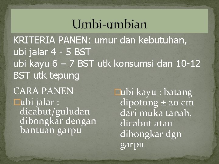 Umbi-umbian KRITERIA PANEN: umur dan kebutuhan, ubi jalar 4 - 5 BST ubi kayu