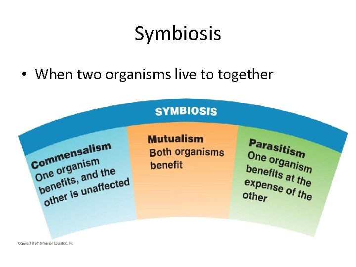 Symbiosis • When two organisms live to together 
