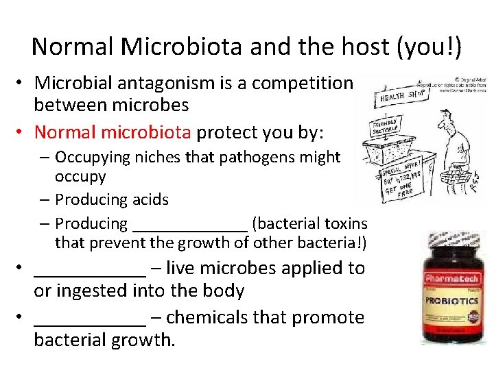 Normal Microbiota and the host (you!) • Microbial antagonism is a competition between microbes