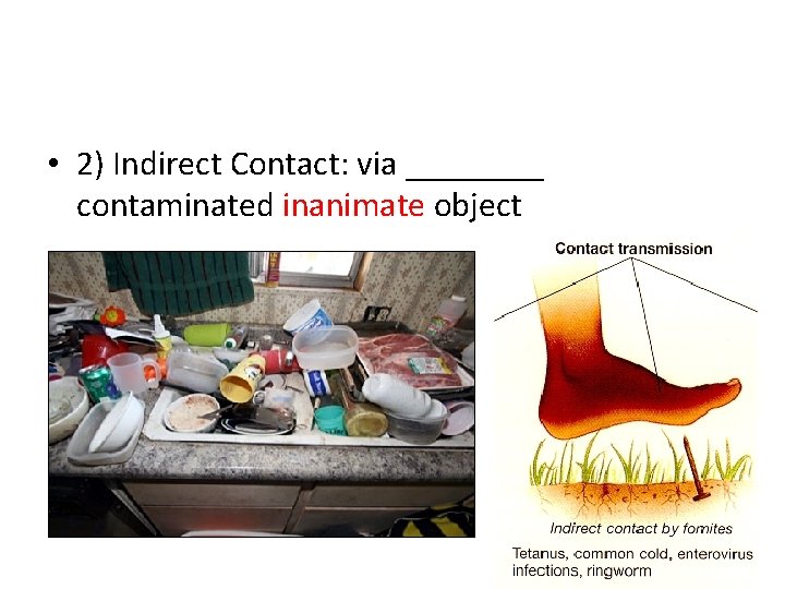  • 2) Indirect Contact: via ____ contaminated inanimate object 